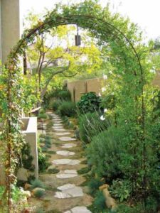 Small Garden Design Tips from Landscape Designer Shirly Bovshow